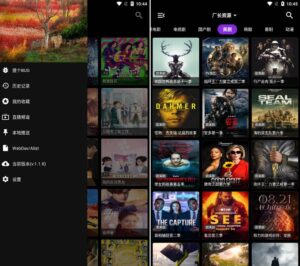TVbox竖屏版 影音壳子 v1.2.9 一样优秀-小宇资源网