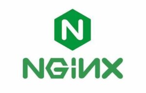 网站来路域名nginx拦截的几种方法 干掉统计中看到广告站来路-小宇资源网