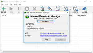 IDM下载器repack版6.41.11俄罗斯大神版发布页-小宇资源网
