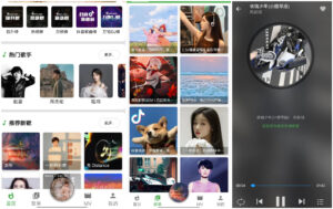 Android最新免费全网音乐 蛋播音乐v3.0.1 免VIP收听全网VIP歌曲-小宇资源网